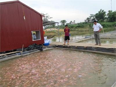 Quang Húc Phát Triển Nuôi Trồng Thủy Sản