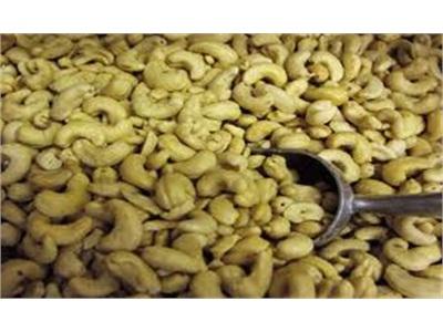 Sản Lượng Điều Trong Nước Chỉ Đáp Ứng 50% Nhu Cầu Sản Xuất