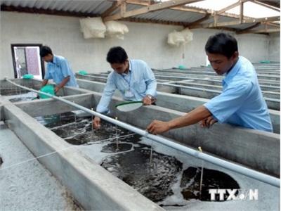 Trà Vinh Quy Hoạch Vùng Sản Xuất Giống Thủy Sản Tập Trung