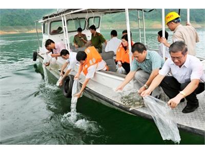 Tuyên Quang Thả Cá Giống Tái Tạo Nguồn Lợi Thủy Sản