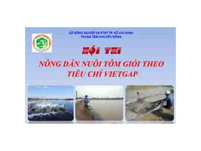 Tổ Chức Hội Thi Nông Dân Nuôi Tôm Giỏi Theo Tiêu Chí Vietgap Năm 2014