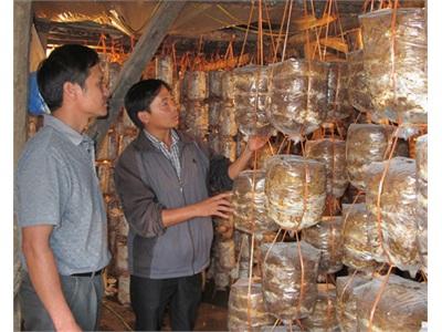 Thiết Thực Từ Việc Trao Cần Câu