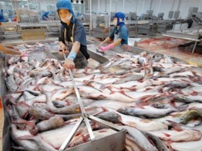 Việt Nam cung cấp độc quyền cá tra tại Anh
