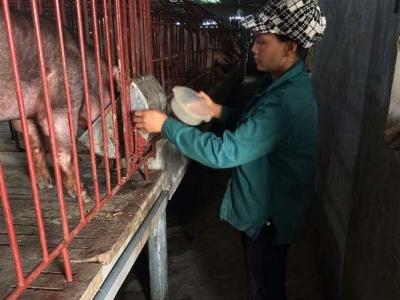 Trở thành triệu phú nhờ... liều