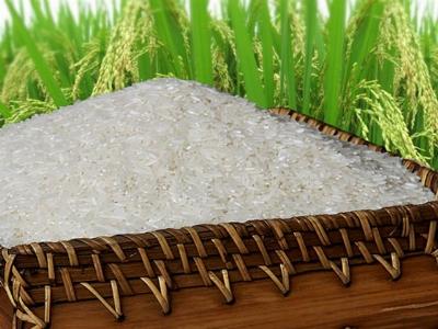 Philippines sẽ mua thêm 300.000 tấn gạo từ Việt Nam