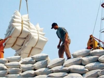 Lượng gạo xuất khẩu qua biên giới phía Bắc giảm mạnh