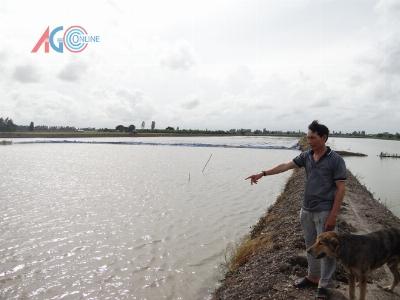 Phú Thuận khởi động dự án lúa - tôm