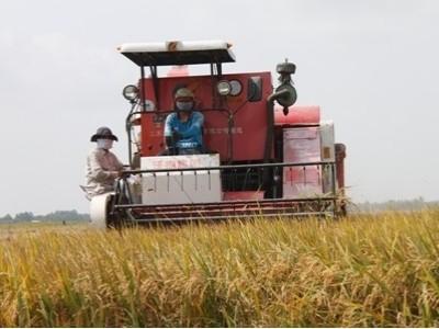Tái cơ cấu ngành Nông nghiệp tăng cường liên kết 3 nhà