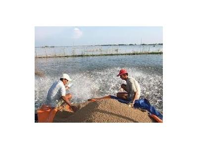 Chuyển động của ngành nuôi thủy sản