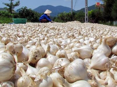 Nông sản rõ xuất xứ mới dễ đưa vào Hàn Quốc