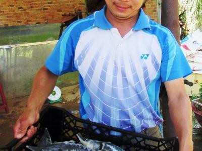 Mở rộng diện tích nuôi cá nước lạnh ở Quảng Thừa