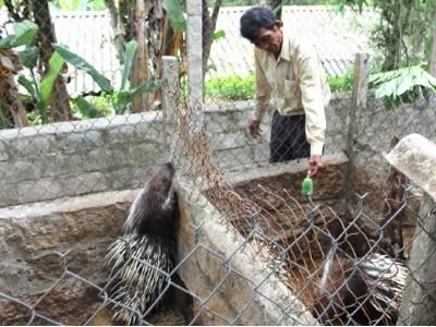 Chính sách mới cho nông nghiệp, nông thôn phát triển