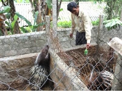 Chính sách mới cho nông nghiệp, nông thôn phát triển