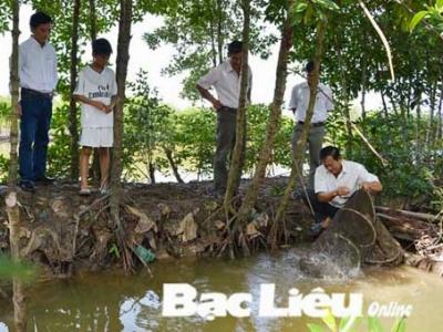 Quy hoạch vùng nuôi tôm sạch và liên kết với doanh nghiệp bao tiêu sản phẩm bớt nỗi lo cho người nuôi tôm