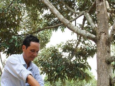 Sầu… vì sầu riêng