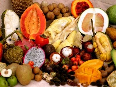 Việt Nam chào hàng 11 loại trái cây tại Mỹ