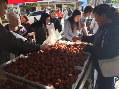 Hào hứng với trái vải Việt Nam tại Úc