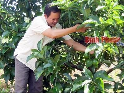 Trang trại quý đông hướng đến sự phát triển bền vững