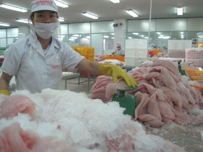 Việt Nam tăng xuất khẩu cá tra sang Trung Quốc, Hồng Kông
