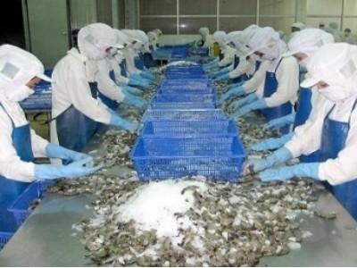 Tận dụng ưu đãi thuế quan để đẩy mạnh xuất khẩu tôm sang Hàn Quốc