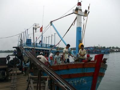 Thiếu vốn, khó bỏ việc... hủy diệt hải sản