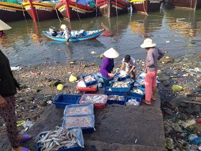 Nguồn lợi thủy sản gần bờ ngày càng suy giảm