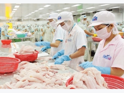 US Congress orders reinspection of all catfish imports starting August 2