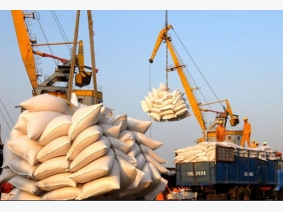 Vietnam wins 175,000-ton rice bids in the Philippines