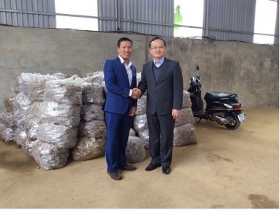 Từ tay trắng kiếm tiền tỷ mỗi năm nhờ củ nghệ