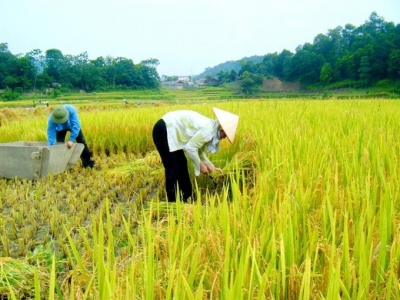 Over $13 billion spent on agriculture restructuring