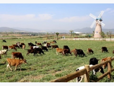 Lam Dong to develop 11 sustainable agricultural production chains