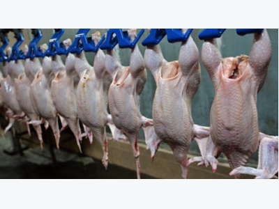 Japan allows chicken import from Vietnam