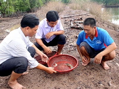 Triển vọng từ nuôi tôm tích lồng