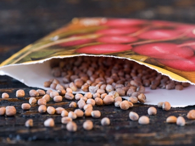 Why Should You Care About Seed Diversity? Here are 7 Reasons