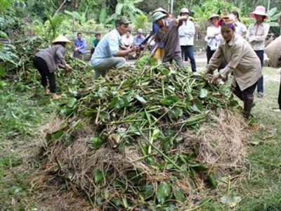 Đừng lãng phí phân hữu cơ