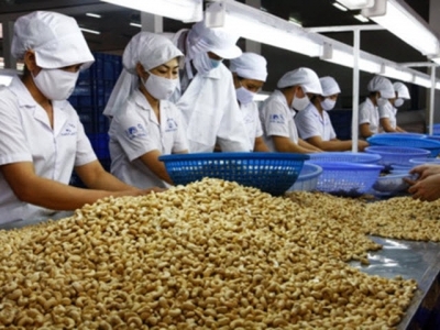 Cashew nut exports up 17% in first half of 2018