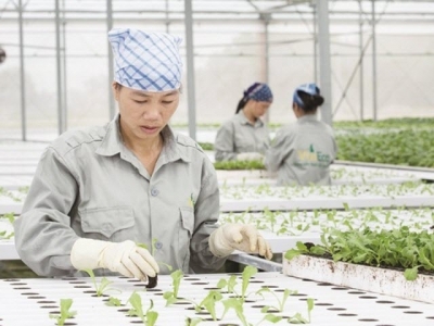 Breakthrough technology to position Vietnamese agricultural products