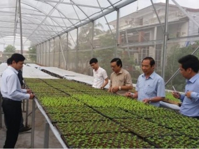 Quang Tri lures investment in hi-tech agriculture