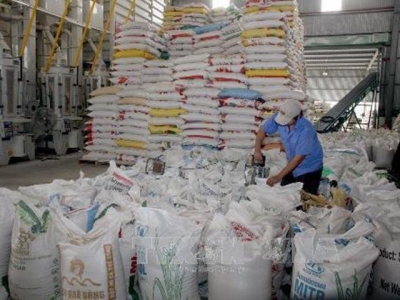 Việt Nams rice exports to Malaysia show strong growth