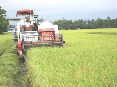 Agricultural production poses environmental risk: expert