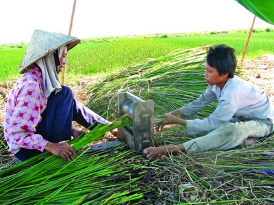 Traditional craft in Thanh Hoa yearns for golden age