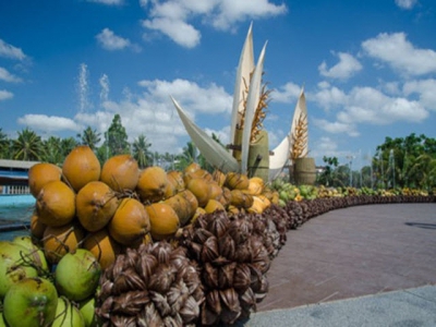 Export staples from Ben Tre enjoy robust growth during four-month period