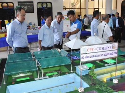 Forum discusses measures to develop Vietnamese shrimp brand