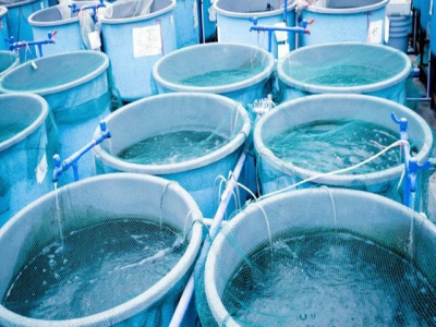 Aquaculture system changes influence soybean use