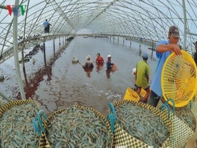 Seafood exports to China set US$1.5 billion target for 2019