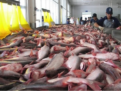 Opportunities for tra fish to enter Chinese market