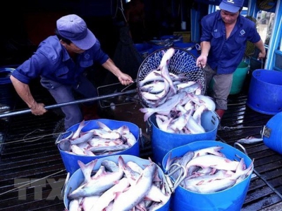 CPTPP gives great chances for Vietnams tra fish exports
