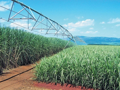 Smarter ways to irrigate sugar cane