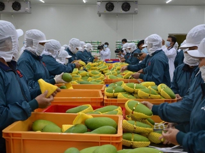 Exports of fruits and vegetables to China witness record decline