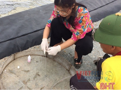 Harsh summer hits thousands of hectares of shrimp farm